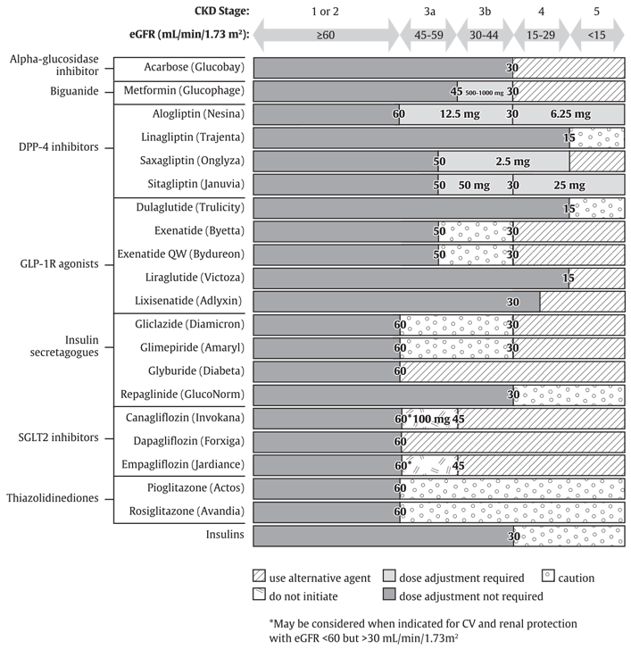 Ch13-Fig2-antihyperglycemic-medications-and-renal-function.png