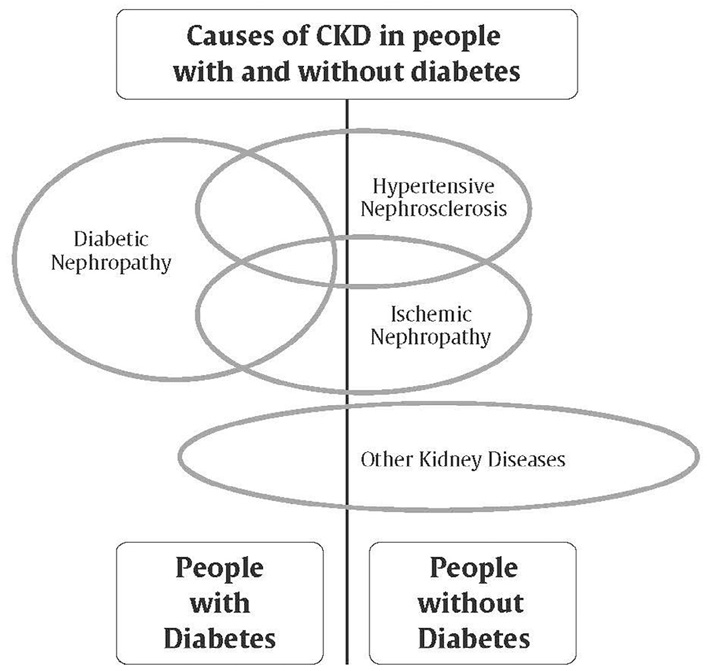 Ch29-Fig1-Causes-of-CKD-in-people-with-and-without-diabetes.jpg