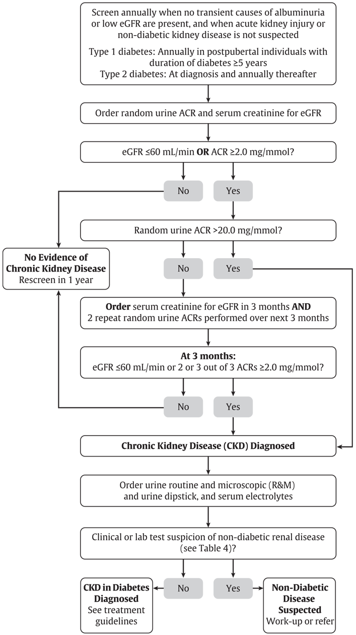 Ch29-Fig3-A-flowchart-for-screening-for-CKD-in-people-with-diabetes.png